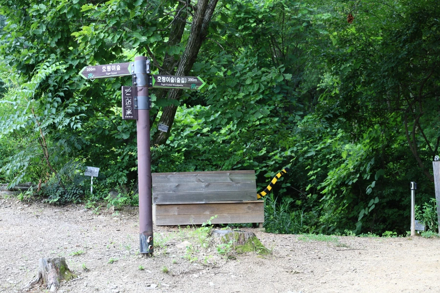 SE-bf6f9a25-95bc-4112-a482-c82d4d47b0c5.jpg?type=w1