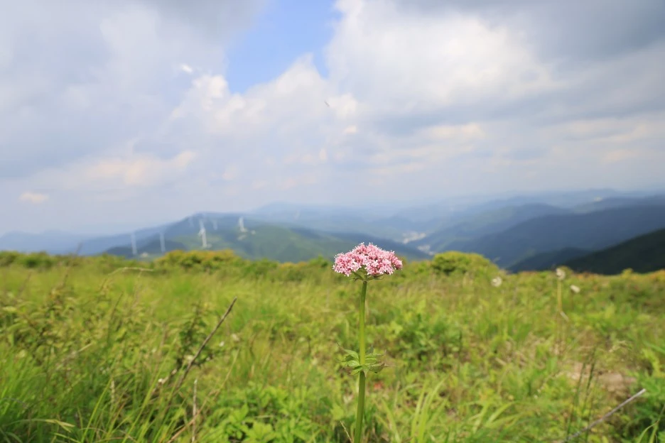 6%EC%9B%9414%EC%9D%BC_(172).JPG?type=w1