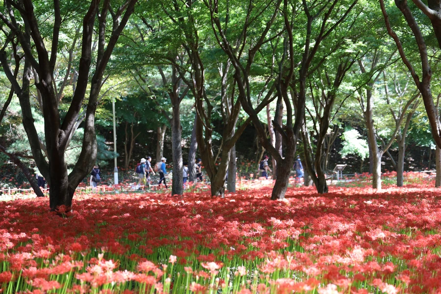 SE-c3178906-1452-4d7c-97e8-d76ea1d77187.jpg?type=w1