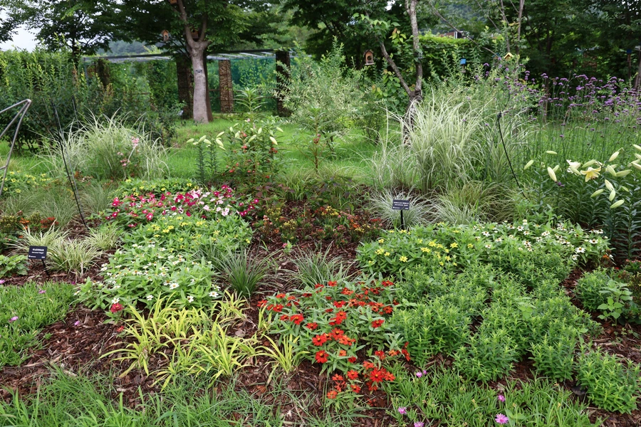 SE-37c7e194-0aa6-42b6-b8b6-336fd23084d9.jpg?type=w1