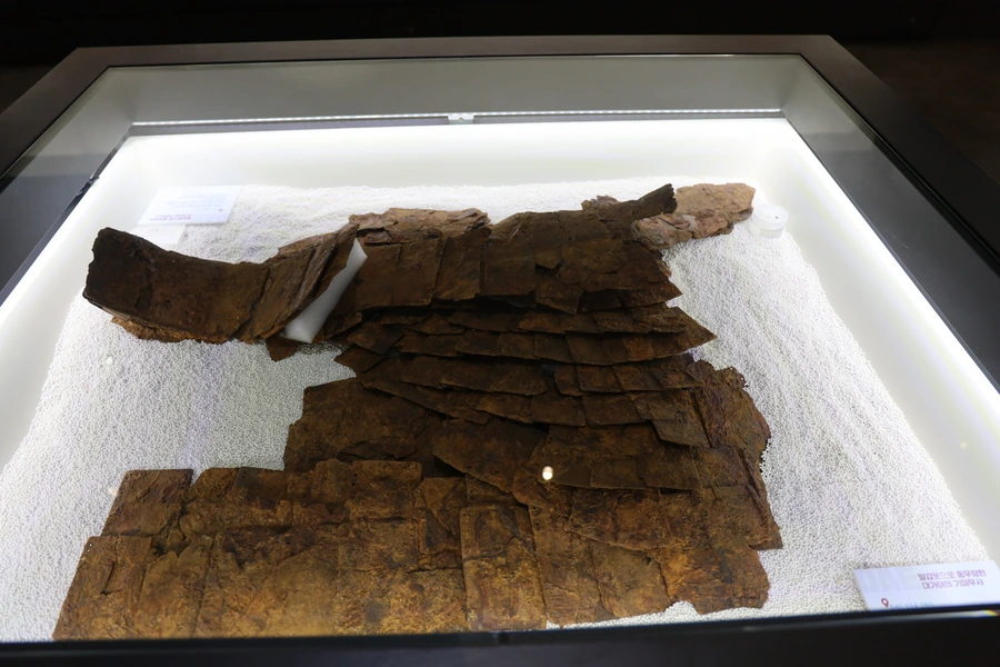 SE-c4270b8d-00b1-44f4-a95f-385f2c49c940.jpg?type=w1