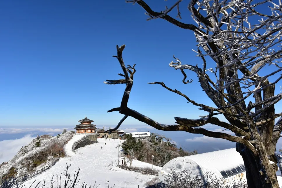 11%EC%9B%9426%EC%9D%BC_(66).JPG?type=w966