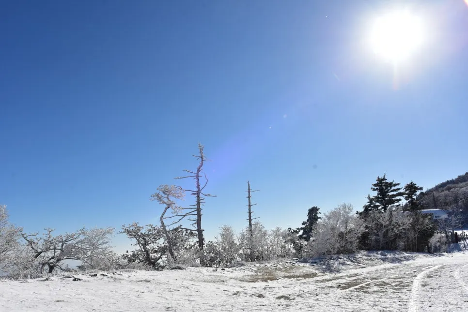 11%EC%9B%9426%EC%9D%BC_(25).JPG?type=w966