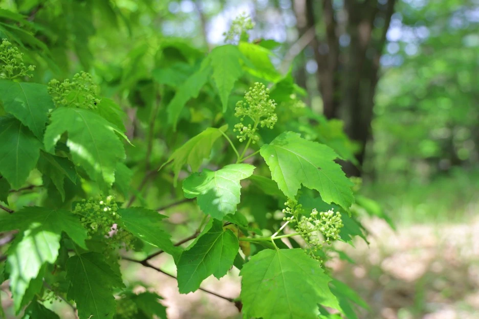 5%EC%9B%9410%EC%9D%BC_(91).JPG?type=w1