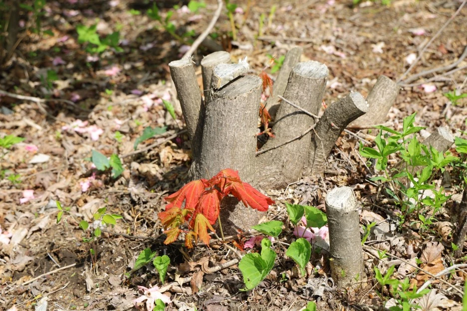 5%EC%9B%9410%EC%9D%BC_(62).JPG?type=w1