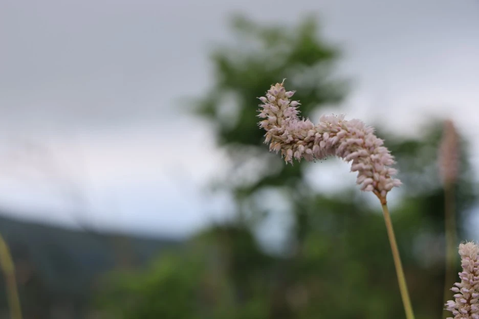 6%EC%9B%9428%EC%9D%BC_(340).JPG?type=w1