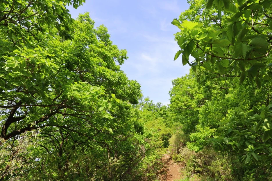 5%EC%9B%9410%EC%9D%BC_(80).JPG?type=w1