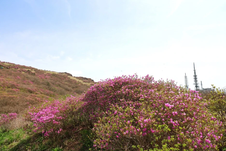 4%EC%9B%9428%EC%9D%BC_(43).JPG?type=w1