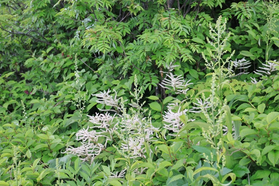 6%EC%9B%9414%EC%9D%BC_(249).JPG?type=w1