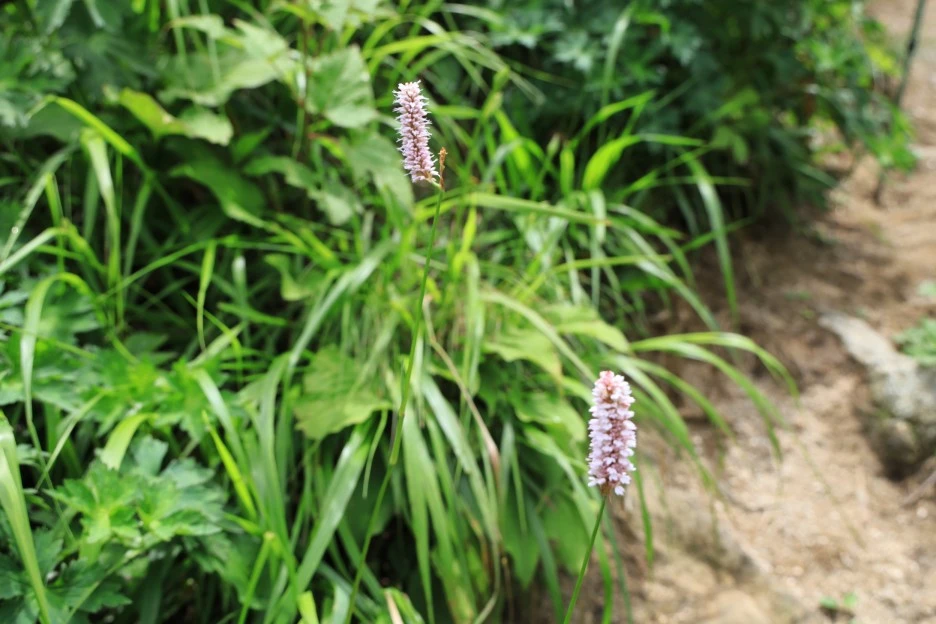 6%EC%9B%9428%EC%9D%BC_(155).JPG?type=w1