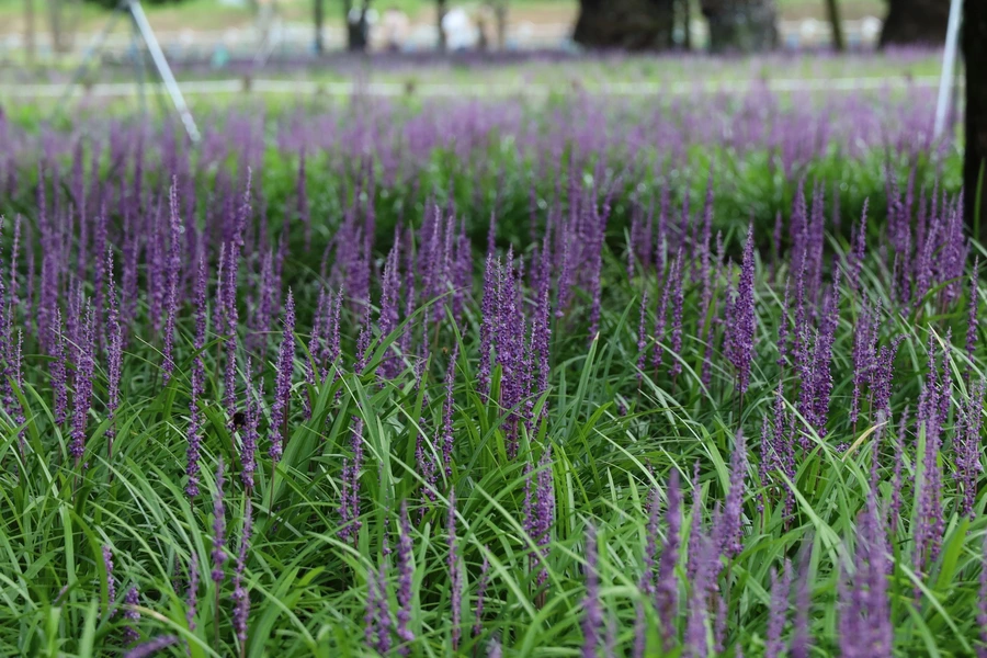 SE-9998cac0-578d-4163-9fdd-0284e292b48a.jpg?type=w1