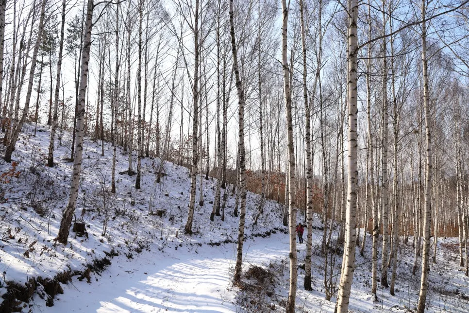 12%EC%9B%9426%EC%9D%BC_(88).JPG?type=w966