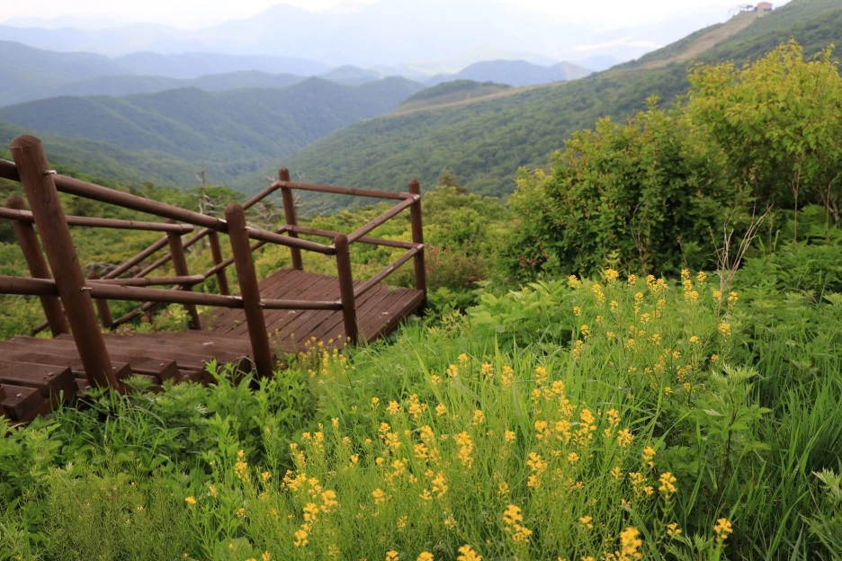 6%EC%9B%9414%EC%9D%BC_(252).JPG?type=w1