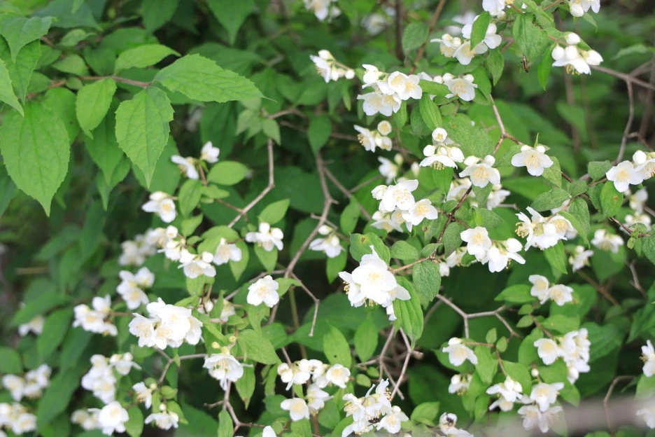 6%EC%9B%9414%EC%9D%BC_(77).JPG?type=w1