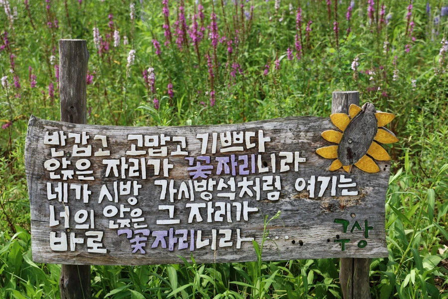 SE-53f37447-9ec6-4dd7-9b7f-4326e811078b.jpg?type=w1