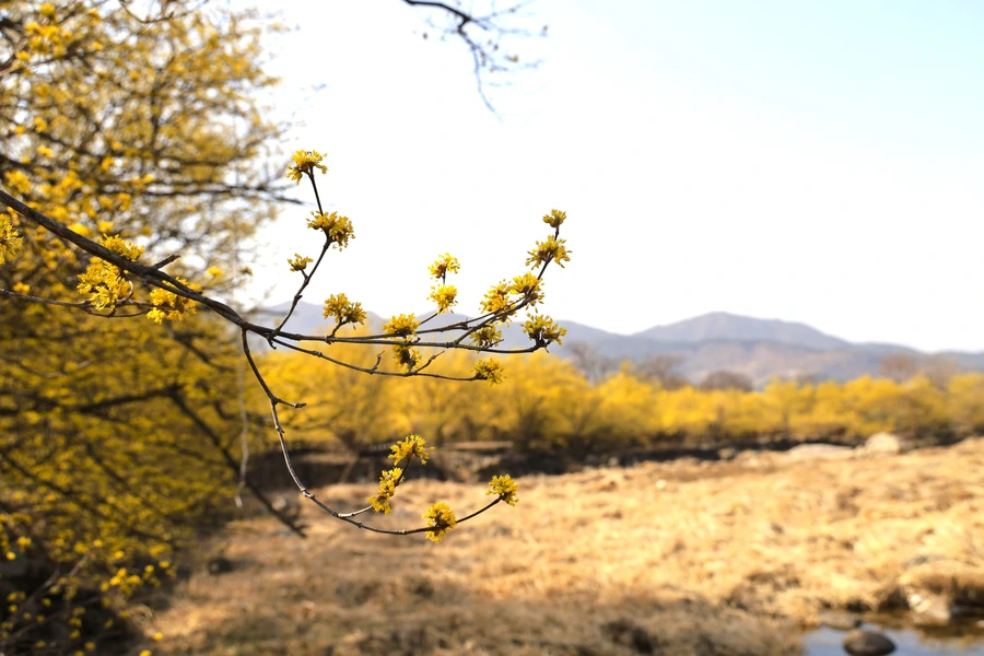 SE-be5fc6cb-3f62-4ed4-a16d-2db27ab0a9b0.jpg?type=w1