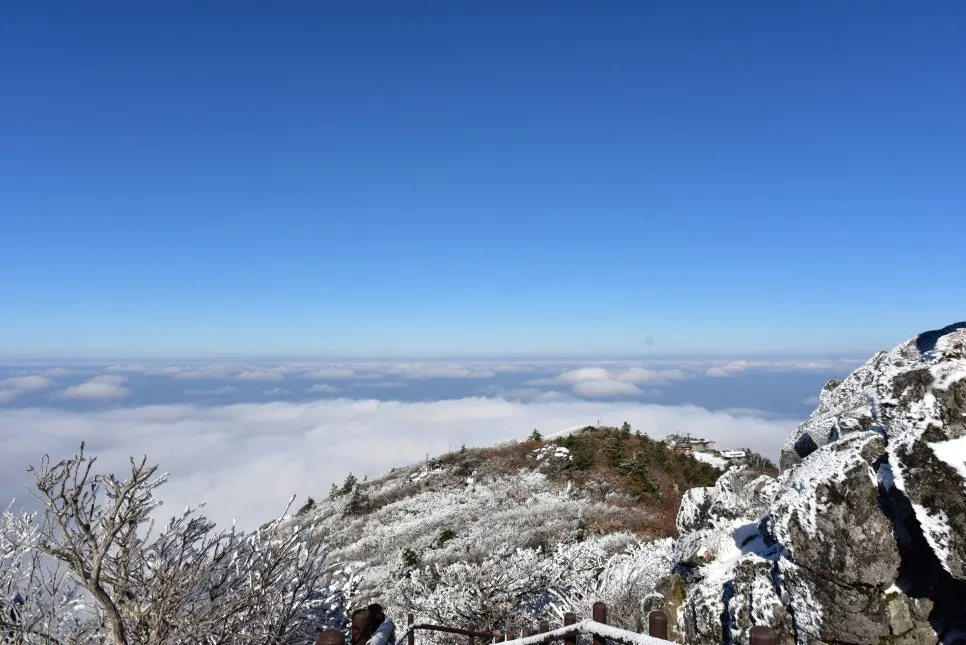 11%EC%9B%9426%EC%9D%BC_(133).JPG?type=w966