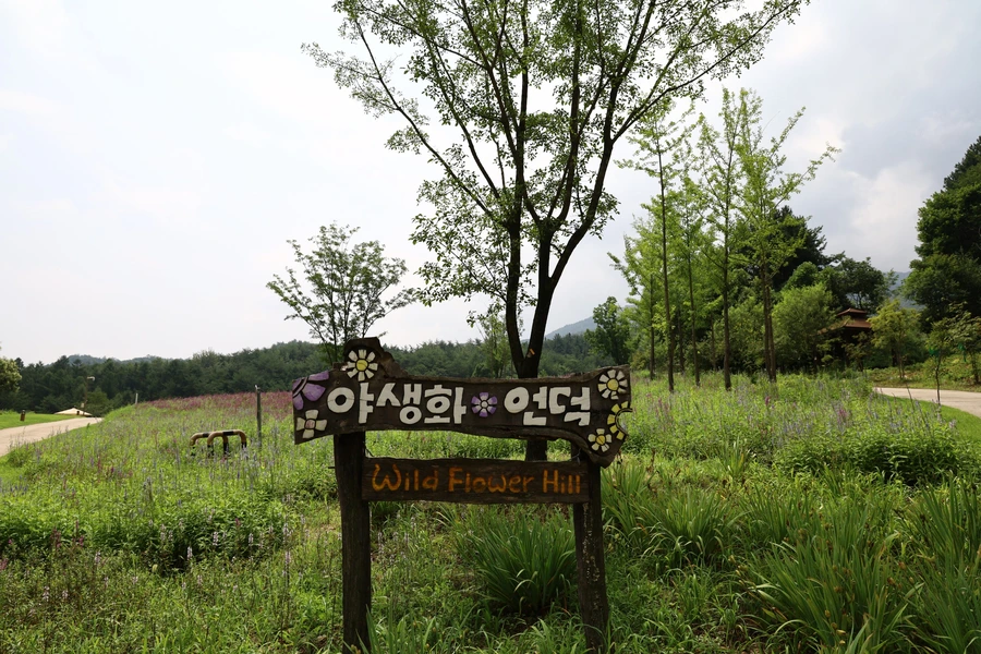 SE-d1b1af06-78ba-4fdc-8d84-c28904277103.jpg?type=w1