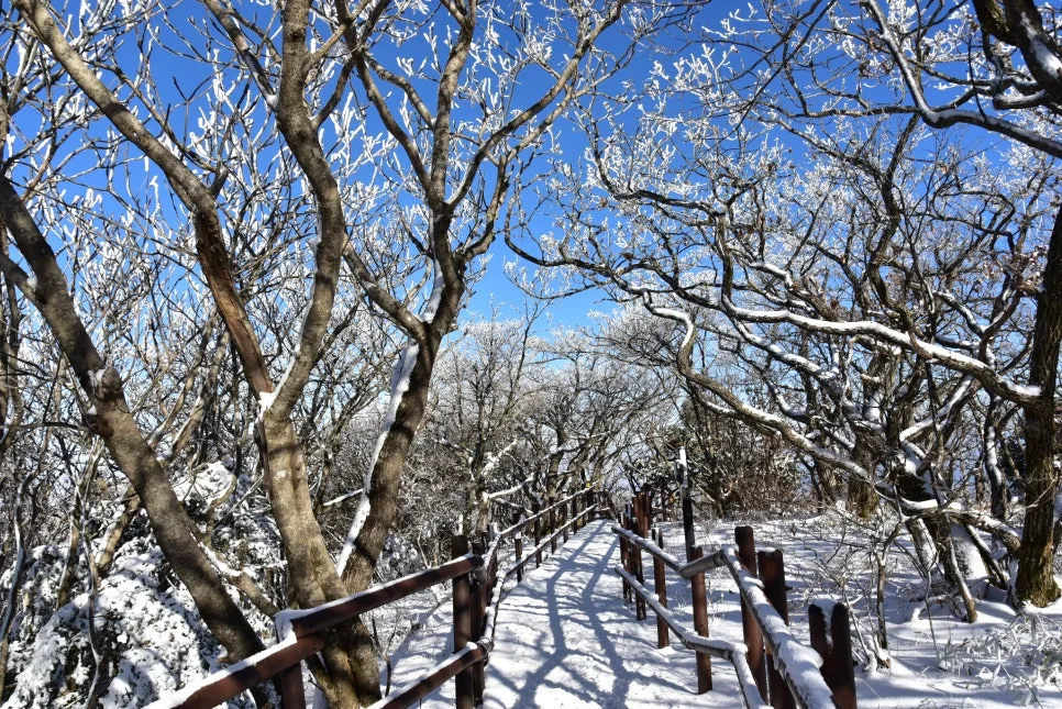 11%EC%9B%9426%EC%9D%BC_(72).JPG?type=w966