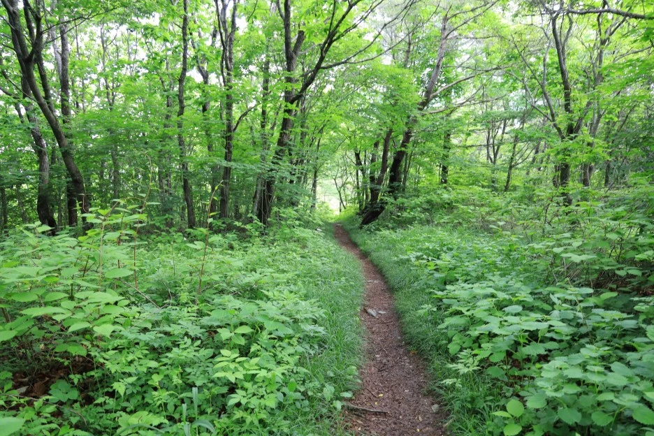 6%EC%9B%9414%EC%9D%BC_(63).JPG?type=w1