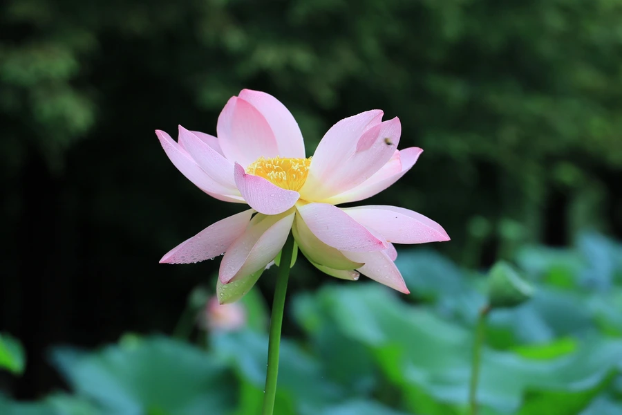 SE-6d114cf6-d7ea-4966-a22f-25be5ab9a2b5.jpg?type=w1