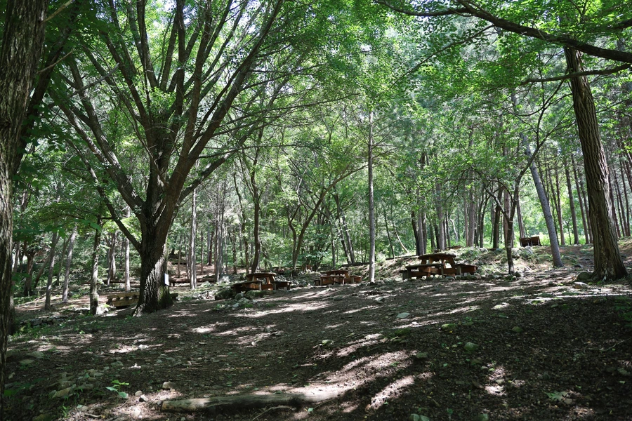 SE-a23c96a1-5606-4caf-a1e2-5a6adb58c5b4.jpg?type=w1