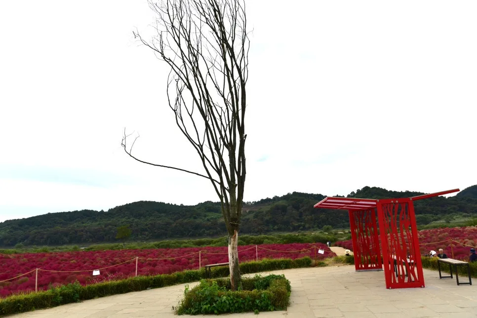 10%EC%9B%9414%EC%9D%BC_(63).JPG?type=w966