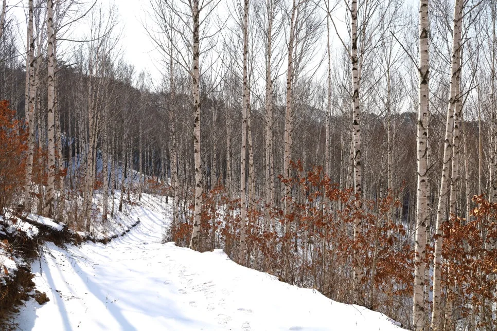 12%EC%9B%9426%EC%9D%BC_(93).JPG?type=w966