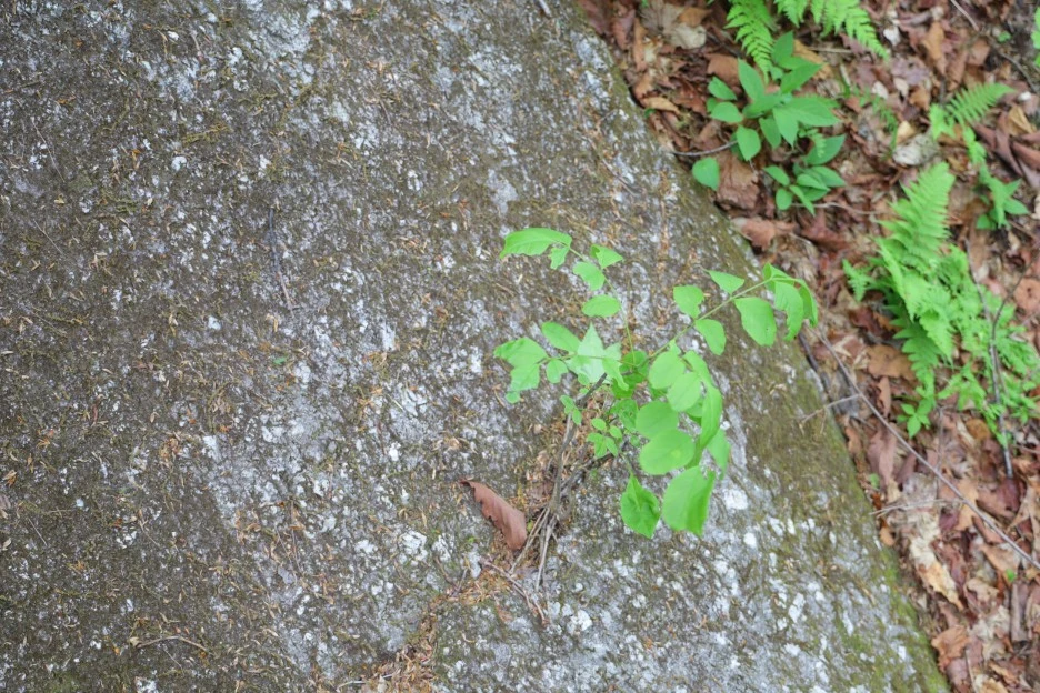 5%EC%9B%9410%EC%9D%BC_(106).JPG?type=w1