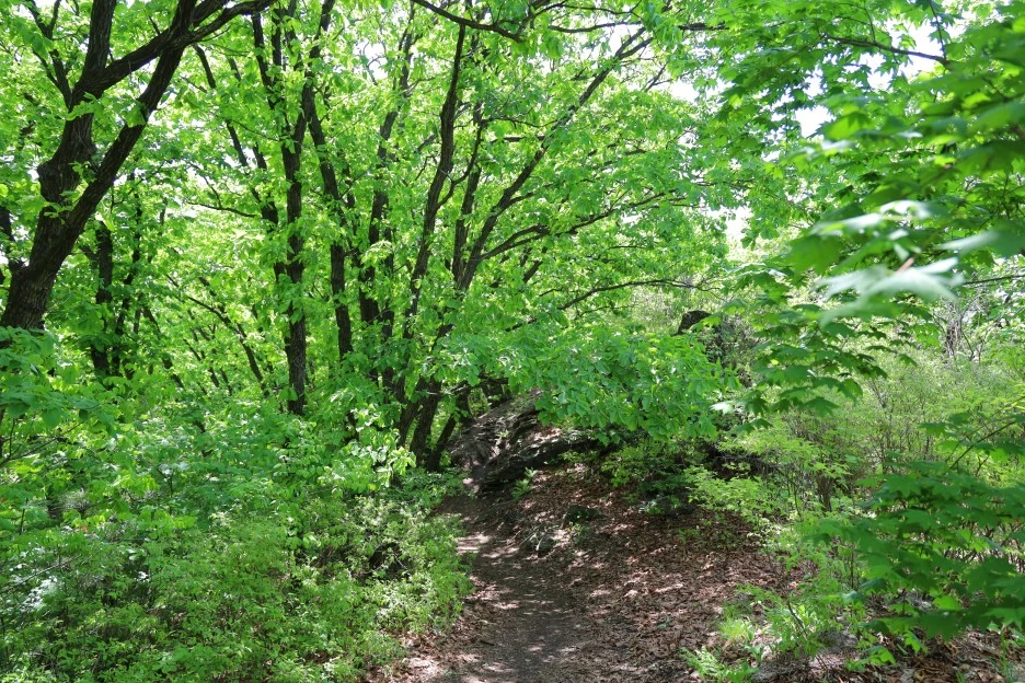 5%EC%9B%9410%EC%9D%BC_(79).JPG?type=w1