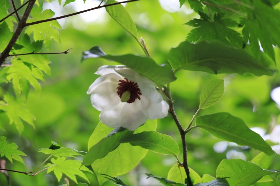 6%EC%9B%9414%EC%9D%BC_(273).JPG?type=w1