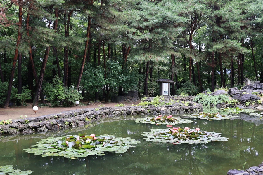 SE-4988660b-0eba-4fd1-a826-90cac2a654d0.jpg?type=w1