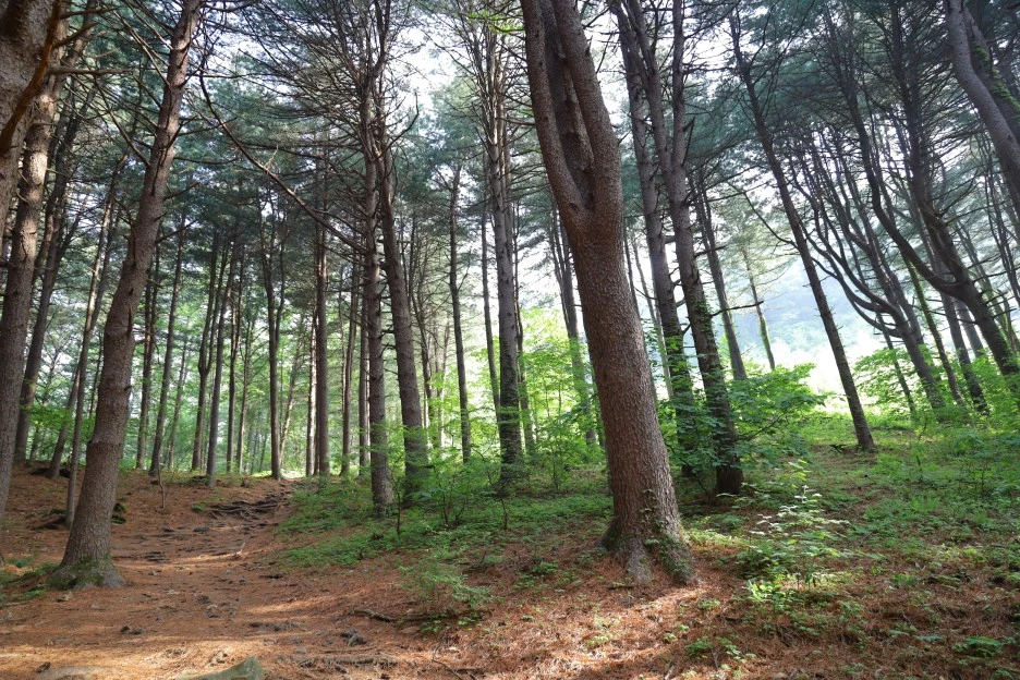 5%EC%9B%9410%EC%9D%BC_(12).JPG?type=w1