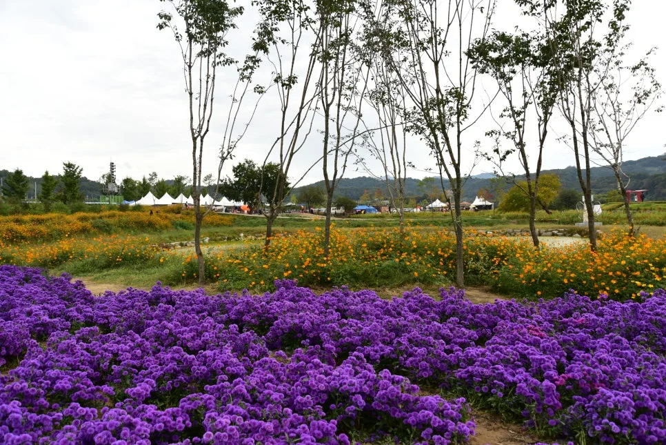 10%EC%9B%9414%EC%9D%BC_(48).JPG?type=w966