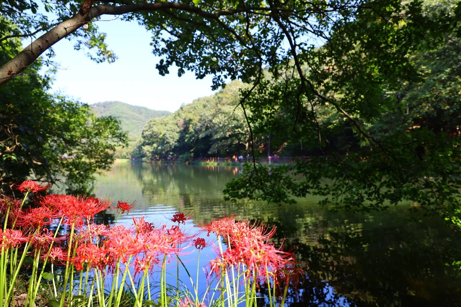 SE-c0fce951-6570-407f-b216-87049b955395.jpg?type=w1