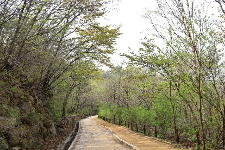 4%EC%9B%9428%EC%9D%BC_(177).JPG?type=w1