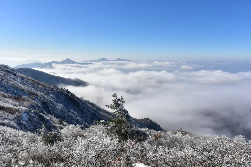 11%EC%9B%9426%EC%9D%BC_(97).JPG?type=w966