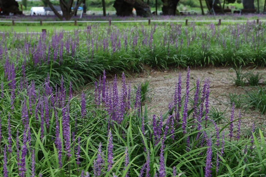 SE-0fe36d02-dd1e-40e9-a149-12da48d49c88.jpg?type=w1