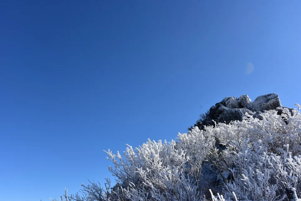 11%EC%9B%9426%EC%9D%BC_(201).JPG?type=w966