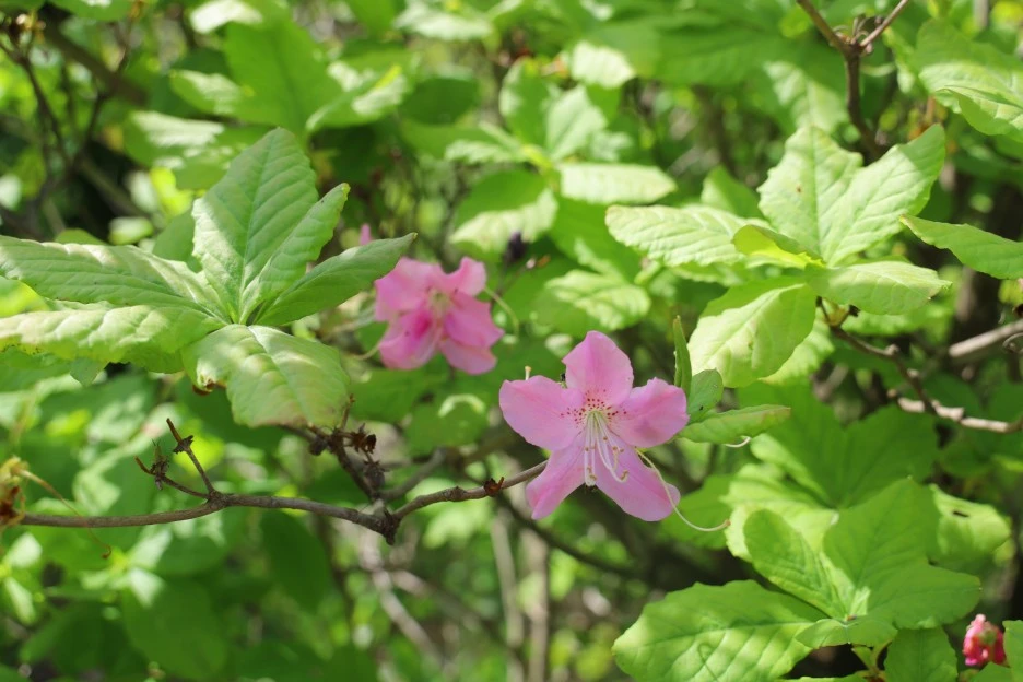 5%EC%9B%9410%EC%9D%BC_(60).JPG?type=w1