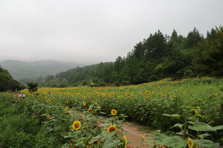 SE-8837b06e-f0eb-4d85-bb9c-ecea873d6e5b.jpg?type=w1