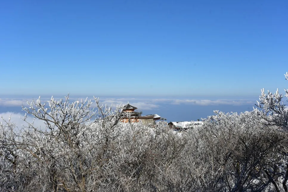 11%EC%9B%9426%EC%9D%BC_(78).JPG?type=w966