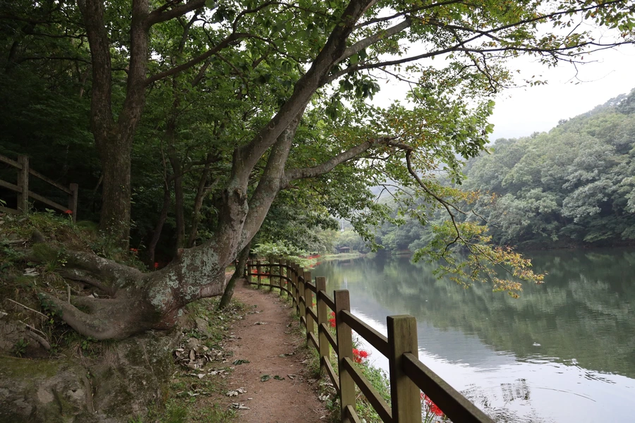 SE-1fdee138-16f9-4544-af24-0b01a540486c.jpg?type=w1