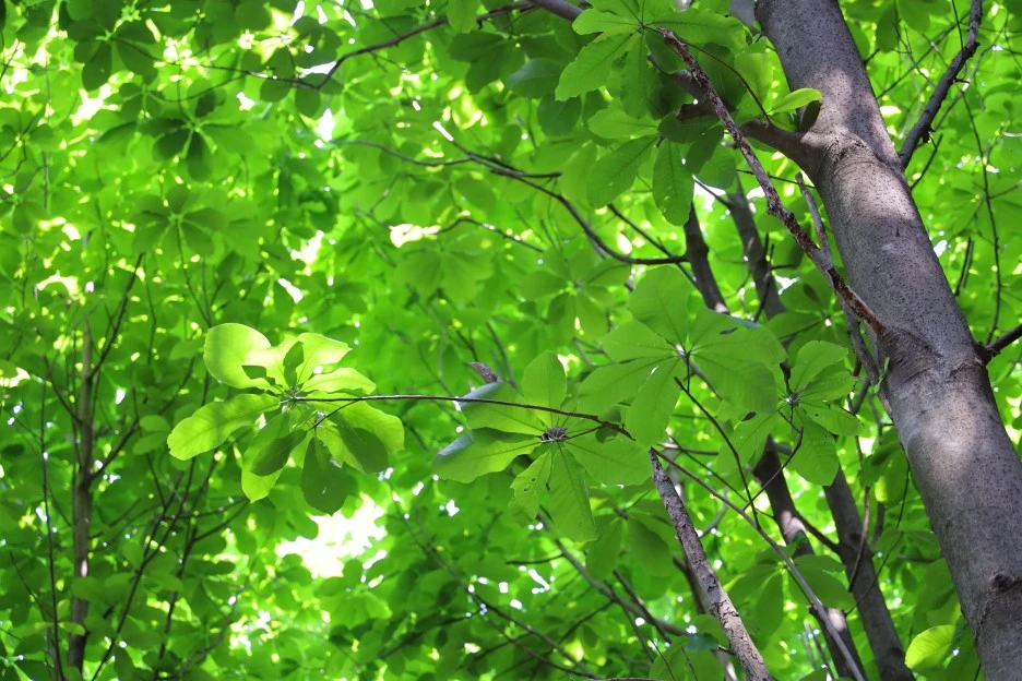 5%EC%9B%9410%EC%9D%BC_(177).JPG?type=w1