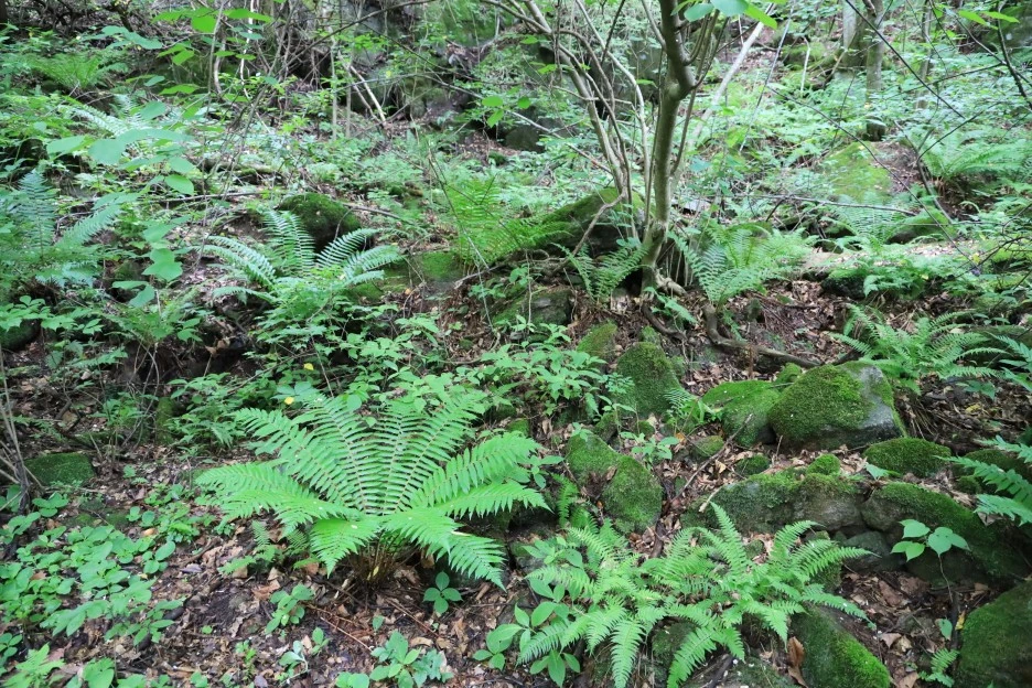 6%EC%9B%9428%EC%9D%BC_(371).JPG?type=w1