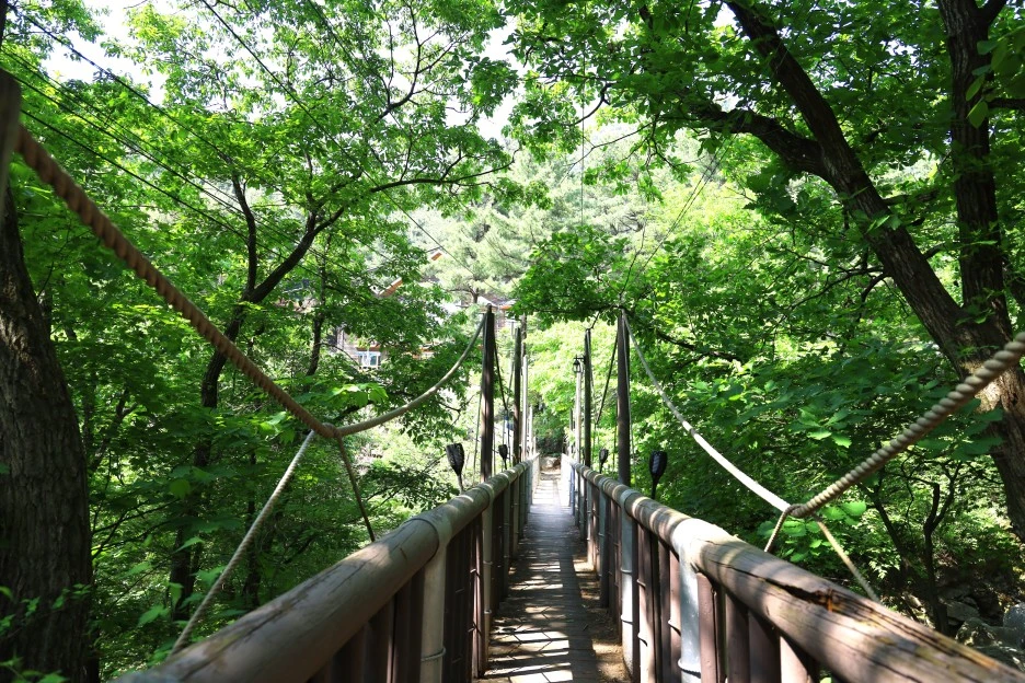 5%EC%9B%9410%EC%9D%BC_(191).JPG?type=w1