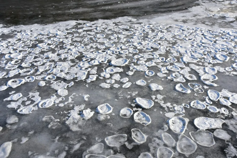 1%EC%9B%9412%EC%9D%BC_(21).JPG?type=w1