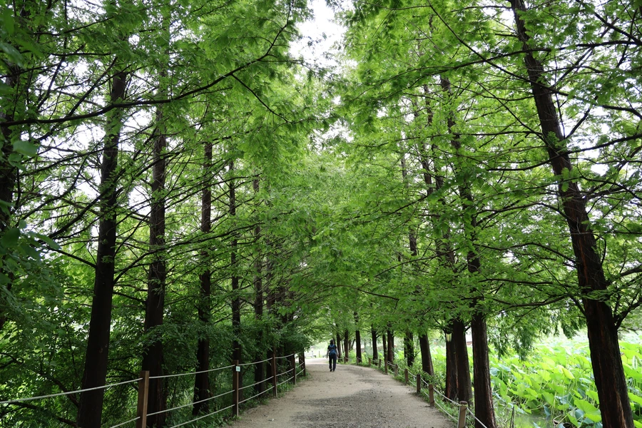 SE-06514ef3-e741-44b6-b0f3-cb5e86c5f772.jpg?type=w1