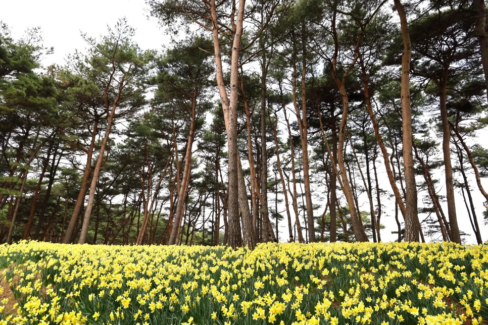 4%EC%9B%945%EC%9D%BC_(37).JPG?type=w966