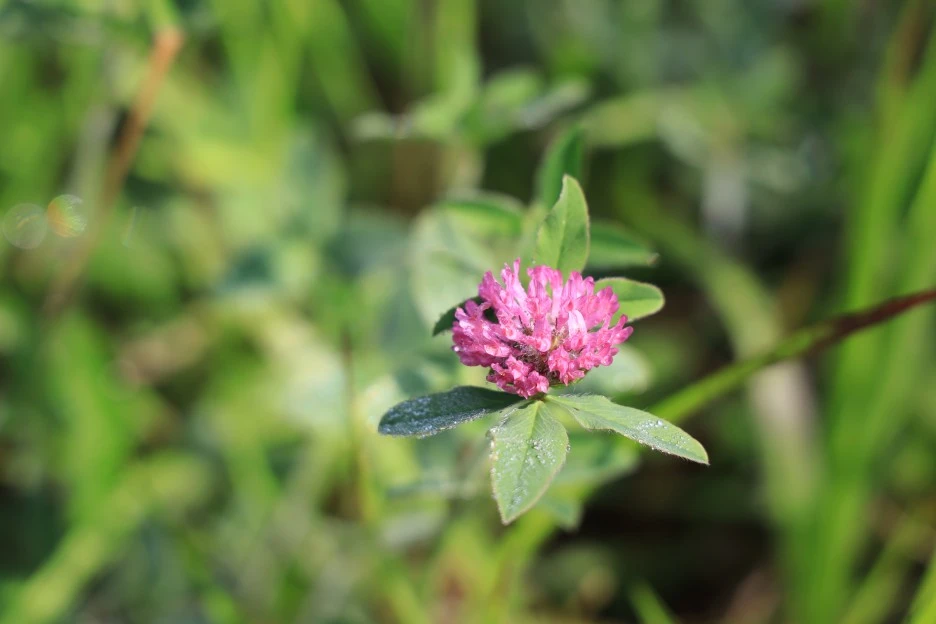 6%EC%9B%9414%EC%9D%BC_(13).JPG?type=w1